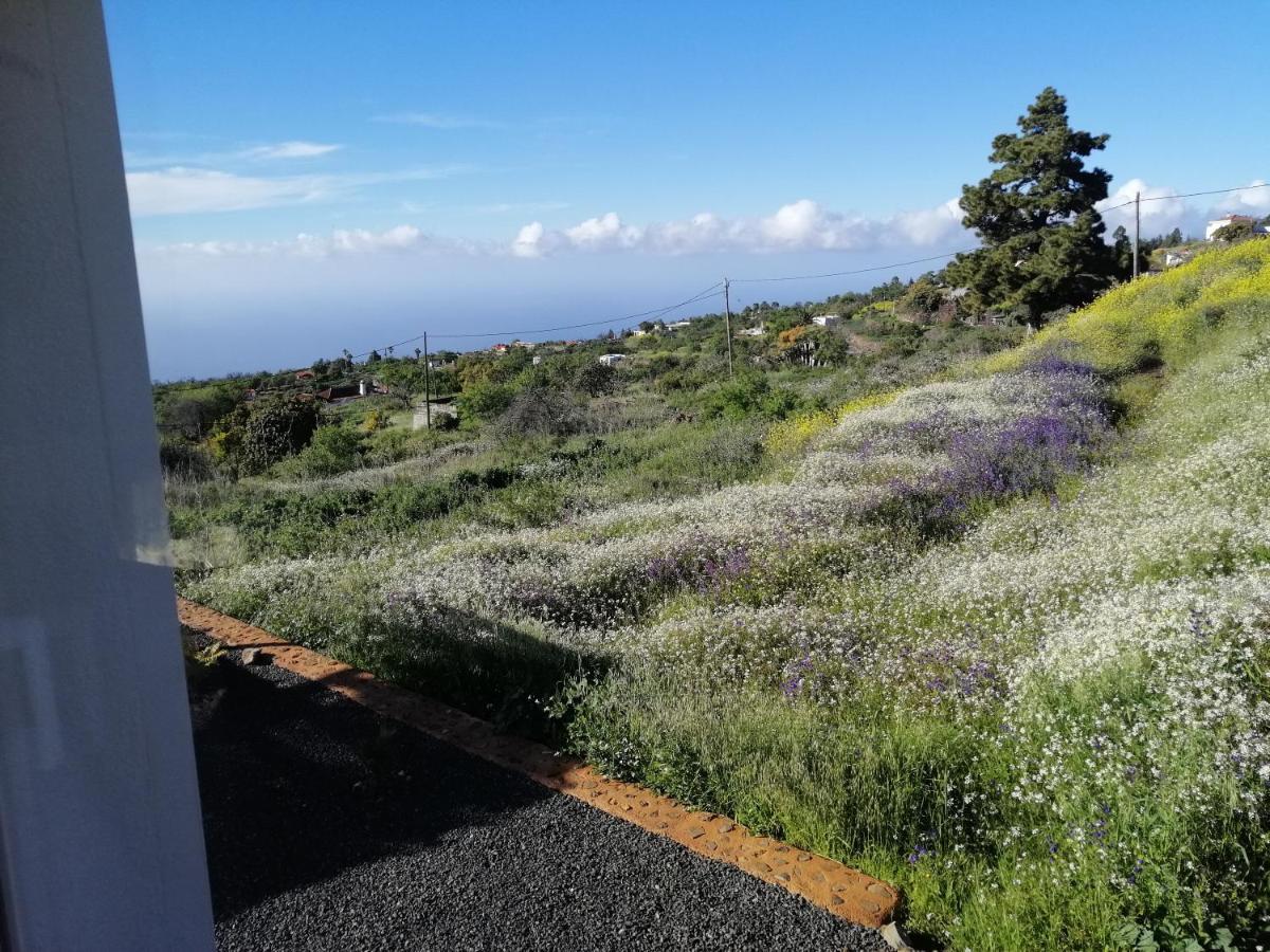 Alma Villa Garafía Exteriör bild